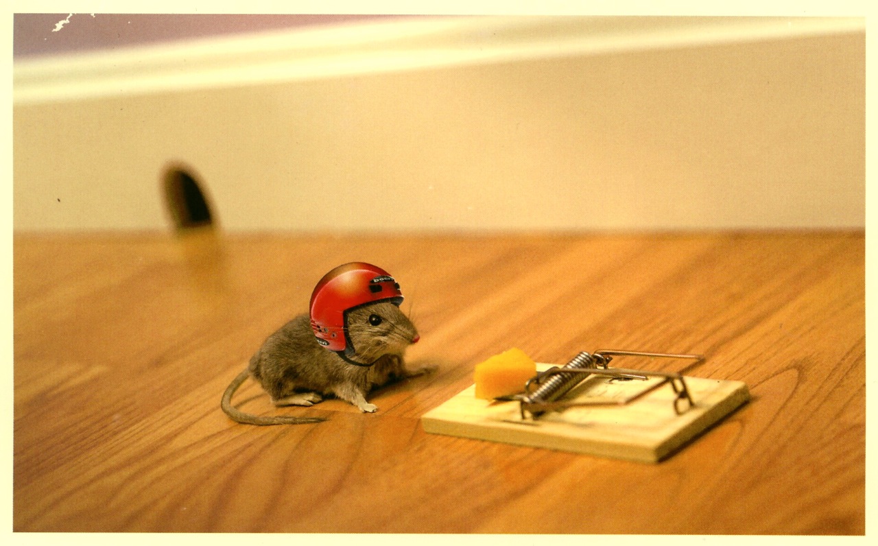 helmet mouse