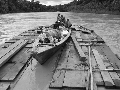 Mahogany floats! Rafts of wood head to market in Peru's Amazon.